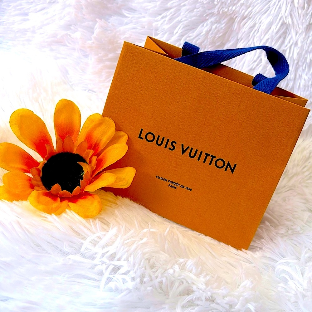 Louis Vuitton Small Empty Bag